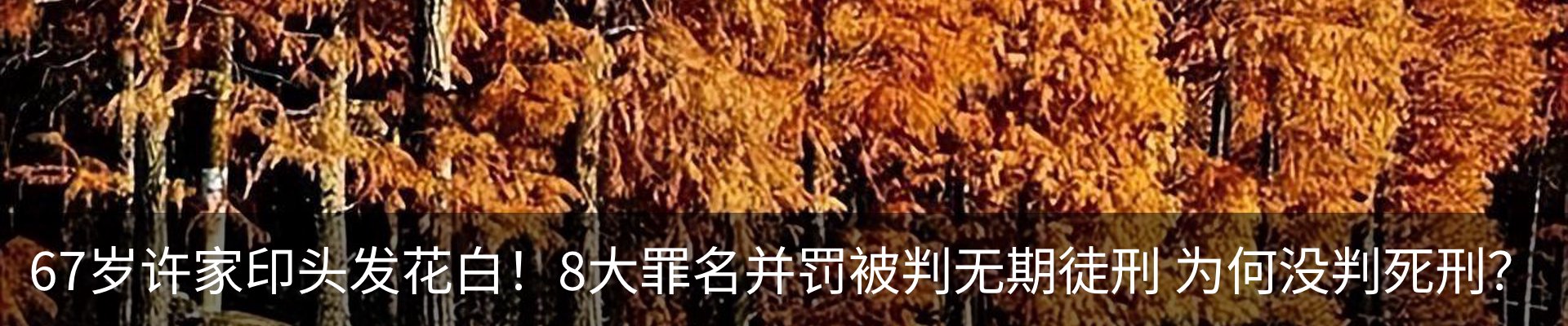 内页banner